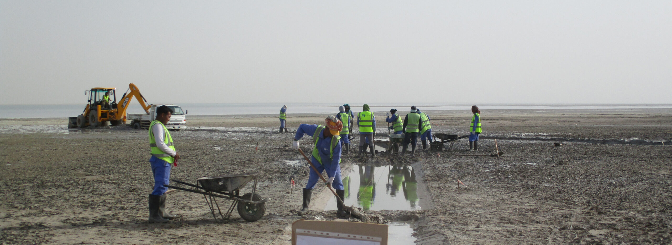 Coastal remediation